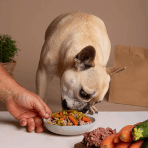 Pet adorable food